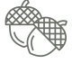 noun-acorn-6446218